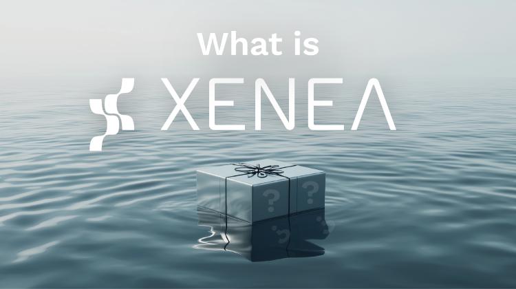Xenea(XENE币)投资价值与代币经济路线