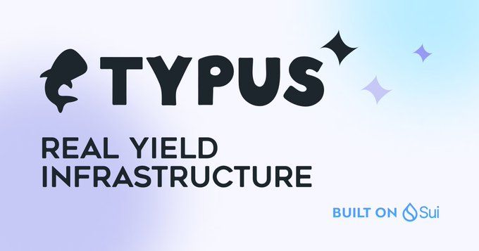 TYPUS币代币经济及未来价格预测介绍