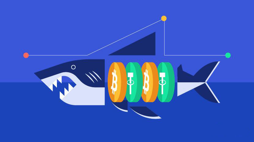 鲨鱼鳍理财：定义、优缺点及Gate.io参与