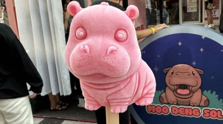 MOODENG币怎么样 2025价格预测