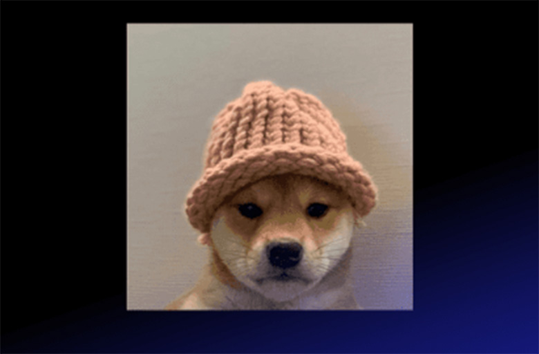 WIF Meme 代币：2025年投资潜力如何？