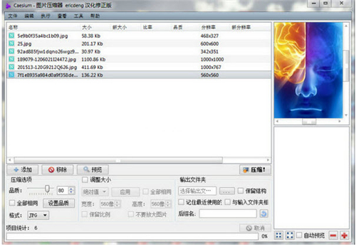 Caesiumv1.7.0下载