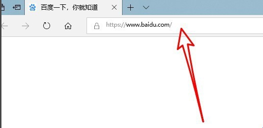 Microsoft Edgev131.0.2903.112