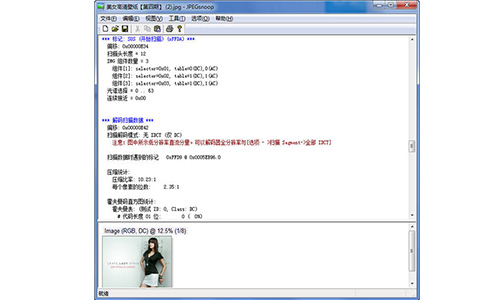 JPEGsnoopv1.8.0下载