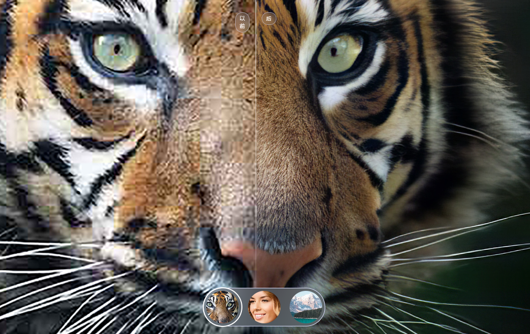 Topaz Photo AI-X86下载