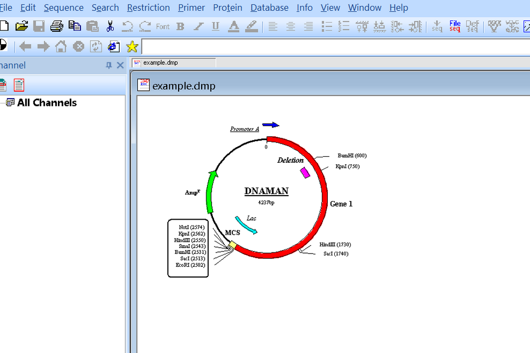 Dnaman电脑版下载