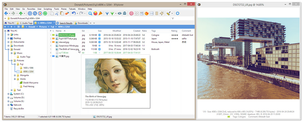 Xyplorer_full_25.10.0100下载