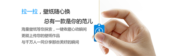 小鸟壁纸v3.1123.1805.322