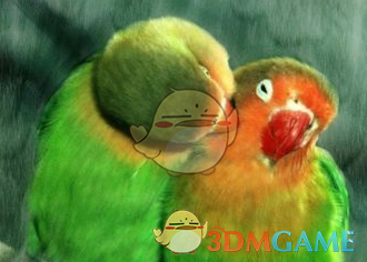 Corel Painter官方免费版