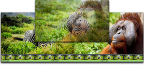 VideoPadVideoEditor13.77