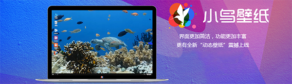 小鸟壁纸v3.1123.1835.405下载