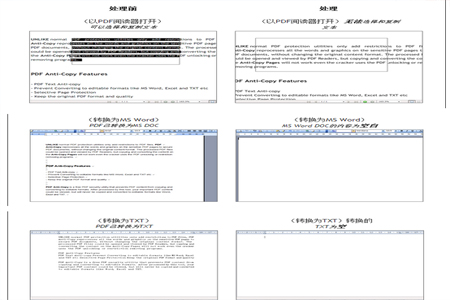 PDF防复制工具v2.2.0