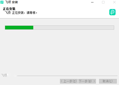 飞项4.0.6