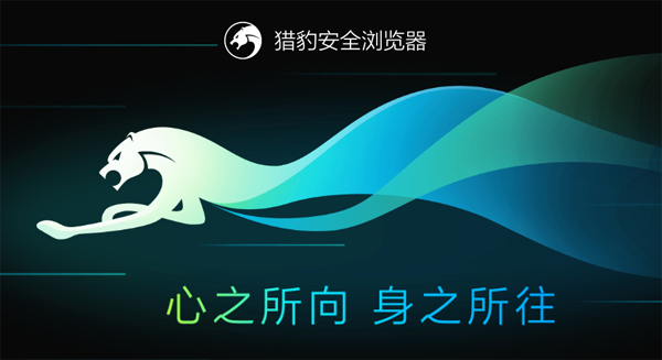 猎豹浏览器v8.0.0.2212