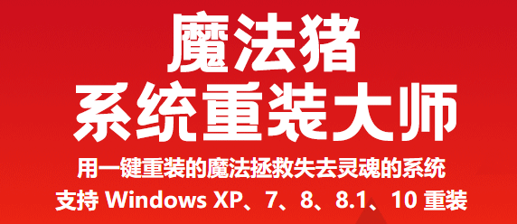 魔法猪系统重装大师v12.7.48.2020.0