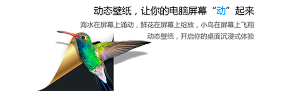 小鸟壁纸v3.1123.1835.405