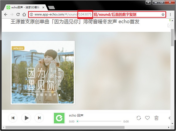 Echo回声音乐下载器v1.3