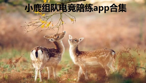 小鹿组队电竞陪练app合集-小鹿组队软件汇总-小鹿组队app官方大全