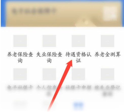 河北人社app养老认证怎么下载-河北人社养老认证步骤操作方法分享-河北人社app大全