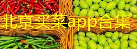 北京买菜送菜app排行榜_北京买菜app哪个好_北京买菜平台有哪些