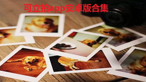 可立拍有什么用_可立拍app安卓版合集_可立拍怎么玩