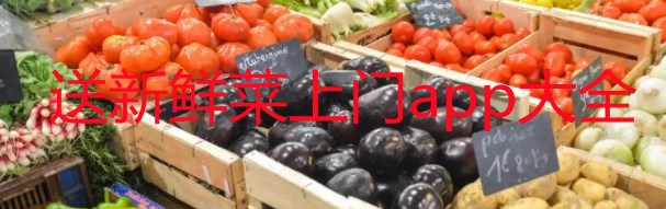 送新鲜菜上门app哪个好_送新鲜菜上门app排行榜_送新鲜菜上门app大全