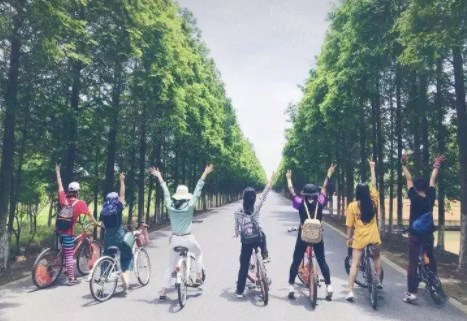 果旅app是真的吗_果旅app怎么样谁知道_果旅app合集