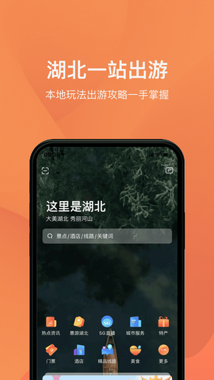 游湖北官方app下载图片1