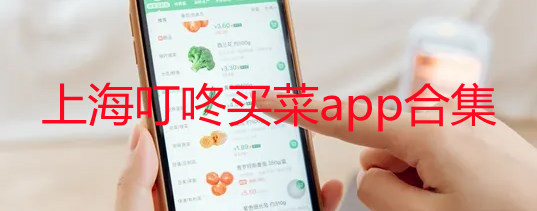 上海叮咚买菜几点开始预约_上海叮咚买菜几点抢菜_上海叮咚买菜app合集