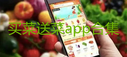 买菜送菜平台哪个便宜_买菜送菜app排行榜_买菜送菜app半小时到