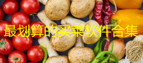 哪个平台买菜便宜又新鲜_买菜用什么app方便又便宜_最划算的买菜软件合集