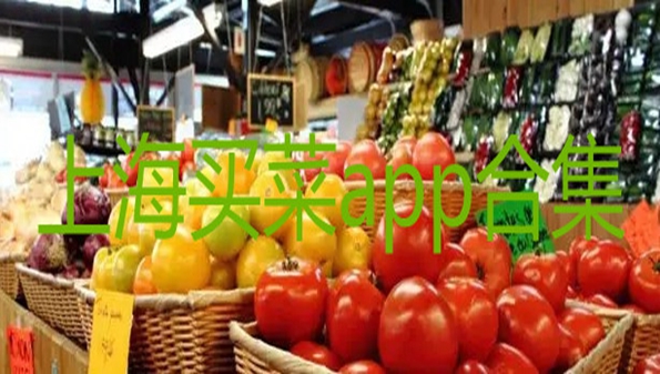 上海买菜app排行_上海买菜平台有哪些_上海买菜送货上门的软件