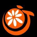 橘子视频美化app软件下载 v1.0.2