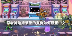 忍者神龟施莱德的复仇如何设置中文 中文设置方法