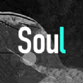soul官网软件下载二维码最新版 v4.34.0