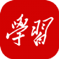 学习强国在家就医平台app下载 v2.38.0