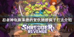 忍者神龟施莱德的复仇翅膀疯子怎么打 翅膀疯子打法介绍
