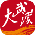 大武汉app客户端下载 v6.2.2