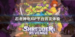 忍者神龟：施莱德的复仇在哪里买便宜 XGP首发体验