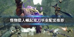 怪物猎人崛起双刀如何配装 双刀毕业配装推荐