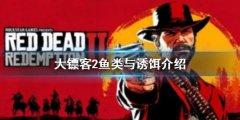 荒野大镖客2有多少种普通鱼 鱼类介绍及诱饵推荐