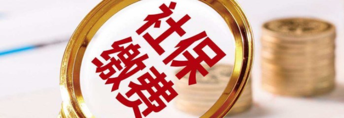 社保查询个人账户缴费明细查询平台有哪些-2022个人社保查询app官方版_个人社保查询软件手机版