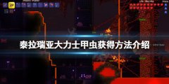 泰拉瑞亚大力士甲虫怎么获得 大力士甲虫获得方法介绍