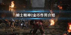 骑士精神2金币有什么用 金币作用介绍