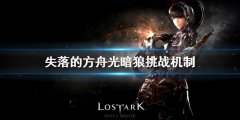 失落的方舟光暗狼怎么打 贝尔加努斯挑战机制