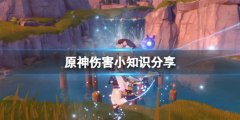原神伤害有什么小知识 伤害小知识分享
