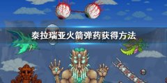 泰拉瑞亚弹药获得方法 火箭弹药获得方法