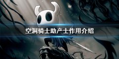 空洞骑士助产士有什么用 详细作用介绍