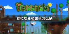 泰拉瑞亚松露虫怎么刷 快速抓捕松露虫