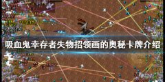 吸血鬼幸存者失物招领画的奥秘有什么用 失物招领画的奥秘卡牌介绍